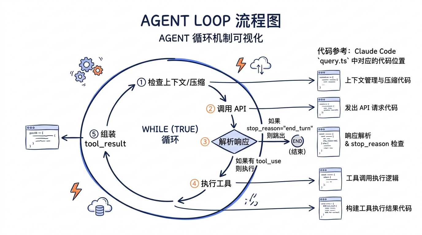 Agent Loop 流程图。while(true) 循环内部：(1) 检查上下文/压缩 → (2) 调用 API → (3) 解析响应：如果 stop_reason="end_turn" 则跳出；如果有 tool_use 则 (4) 执行工具 → (5) 组装 tool_result → 回到 (1)。旁边标注 Claude Code query.ts 中对应的代码位置